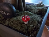 miniature mushrooms