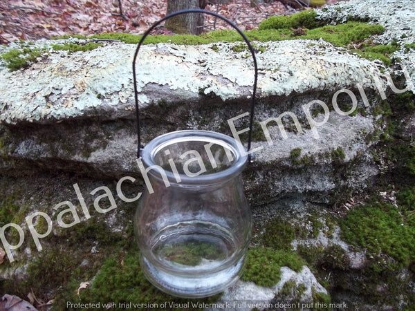 Hanging Glass Lantern Container for Small Terrariums, Plants, Candles & Succulents